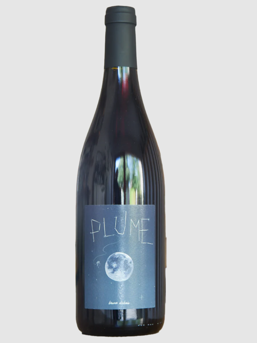 Saumur-Champigny ‘Plume’ 2021