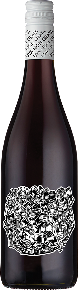 Uva Non Grata, Gamay 2025
